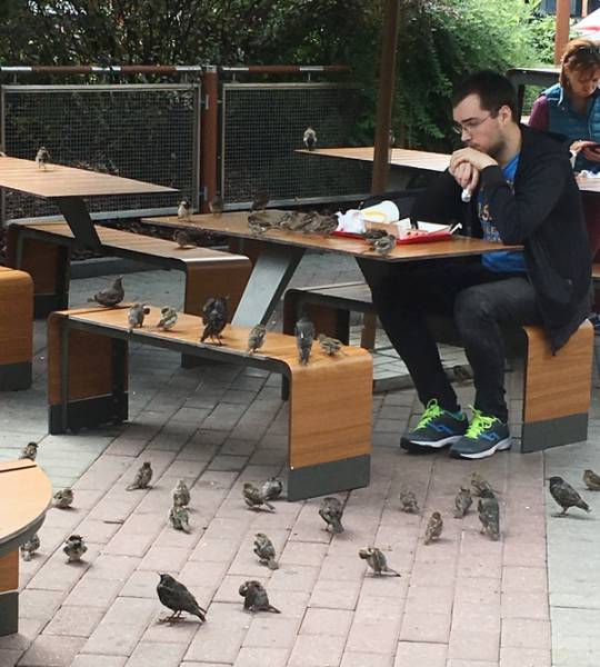 Morning Picdump
