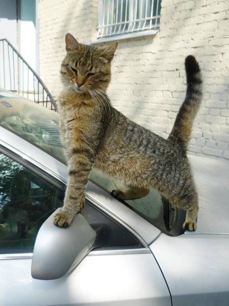 Morning Picdump