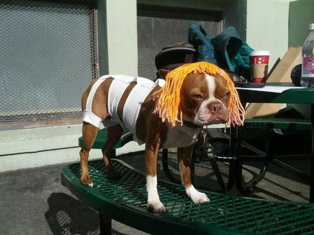 morning picdump 52 pics 2.html - 52 HD Photos | Premium Gallery 2017