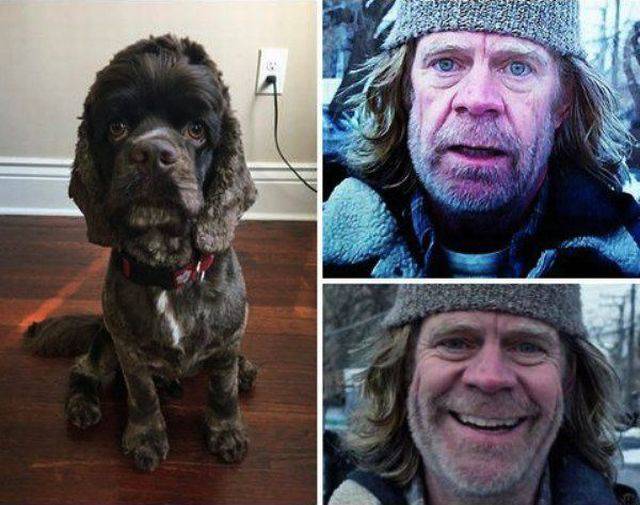 Daily Picdump