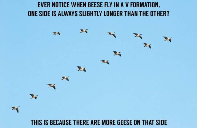 funny picdump 50 pics 14.html - 50 HD Photos | Premium Gallery 2017