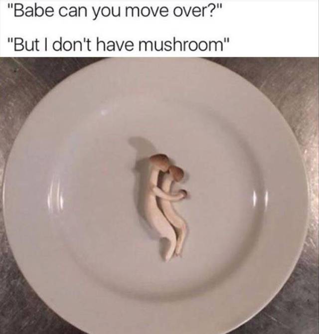 funny picdump 50 pics 14.html - 50 HD Photos | Premium Gallery 2017