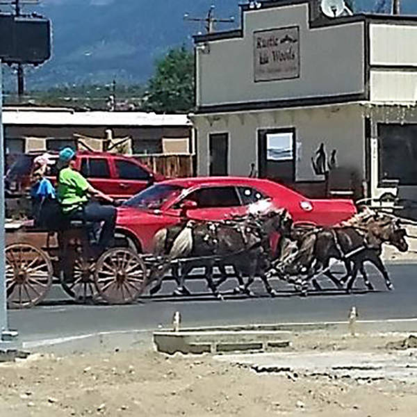 morning picdump 49 pics 6.html - 49 HD Photos | Premium Gallery 2017