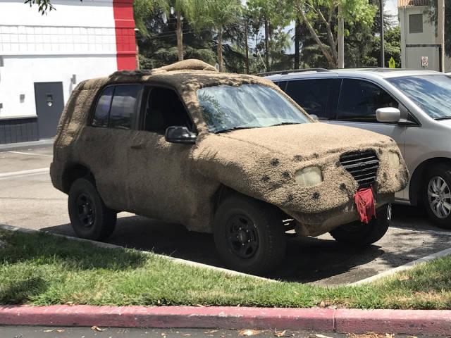 morning picdump 49 pics 6.html - 49 HD Photos | Premium Gallery 2017