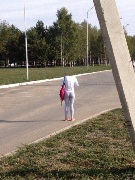 Daily Picdump
