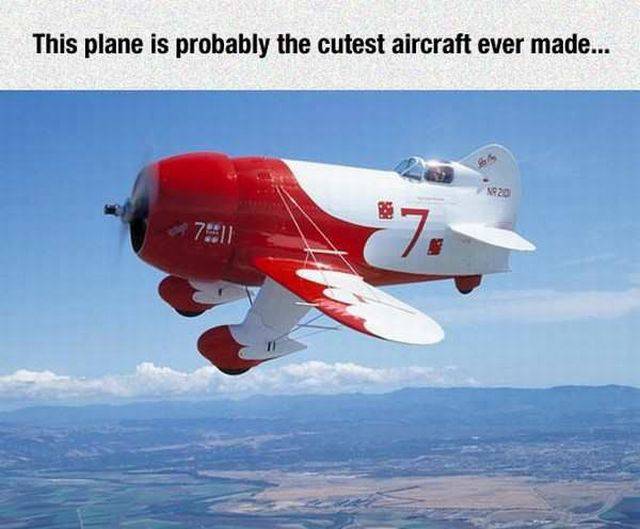 Daily Picdump