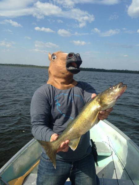 Daily Picdump