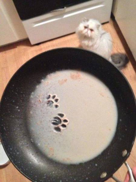 Daily Picdump