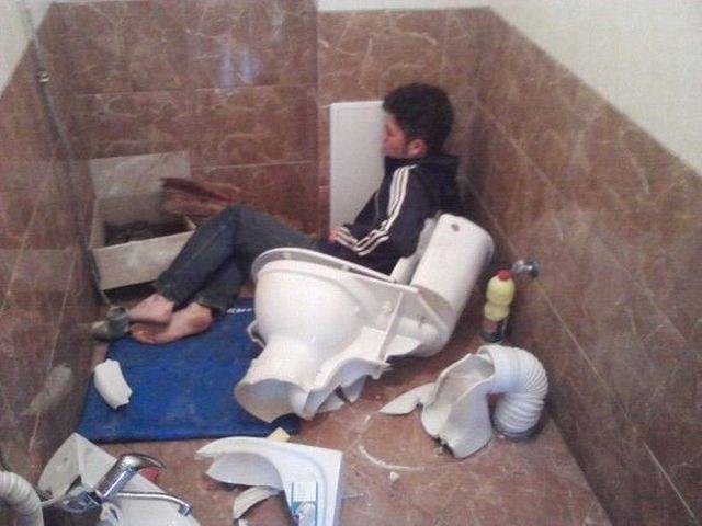 Daily Picdump