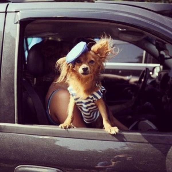 Daily Picdump