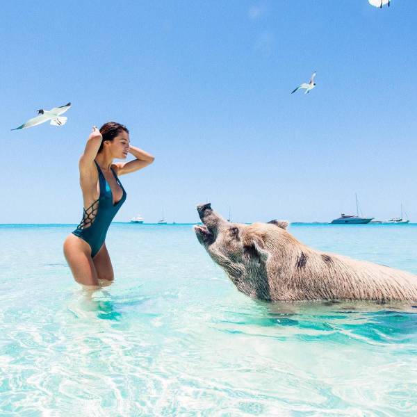 Daily Picdump
