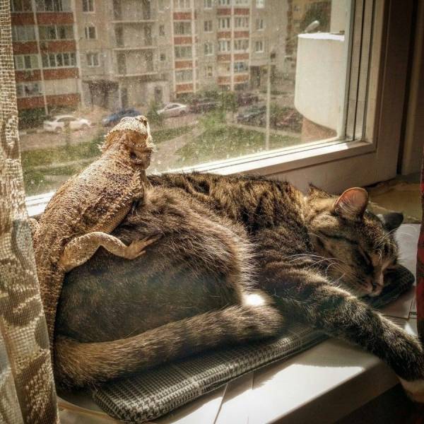 Daily Picdump