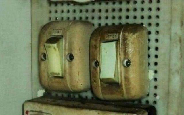Daily Picdump