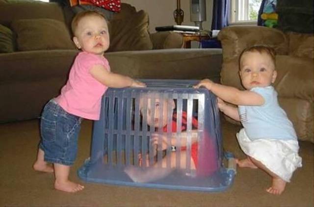 Daily Picdump