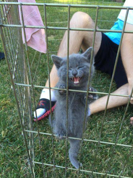 Daily Picdump
