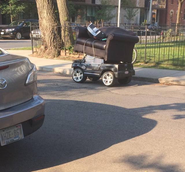 Daily Picdump