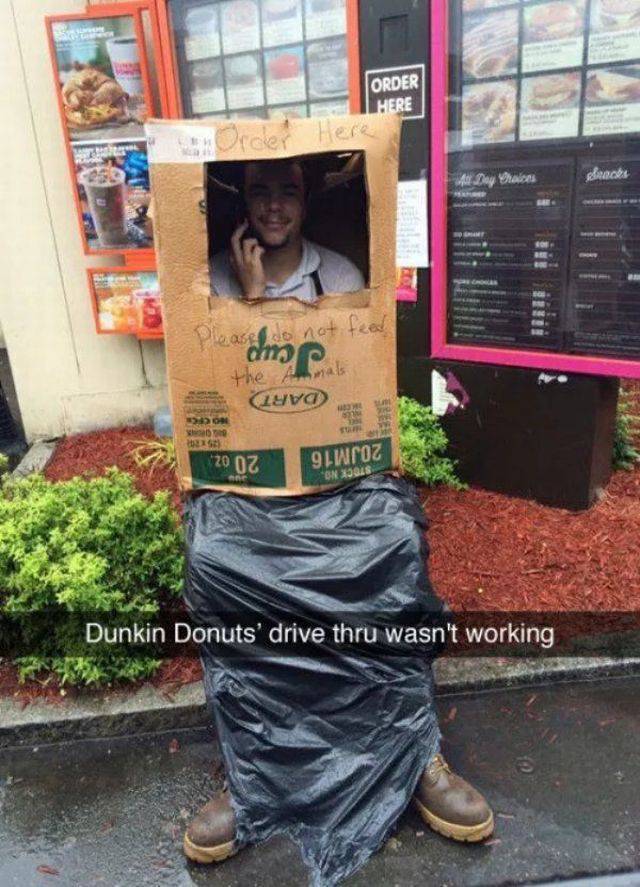 Daily Picdump