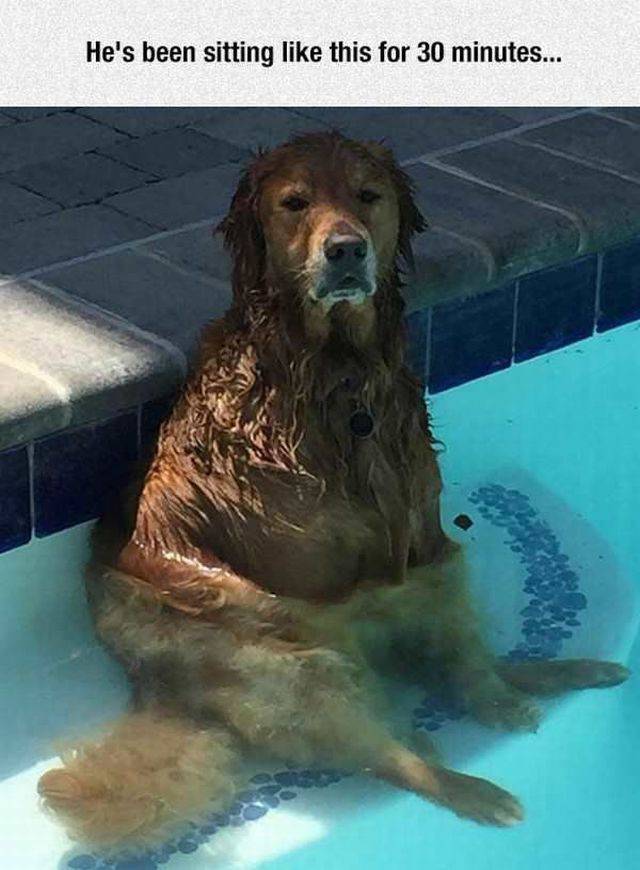 Daily Picdump