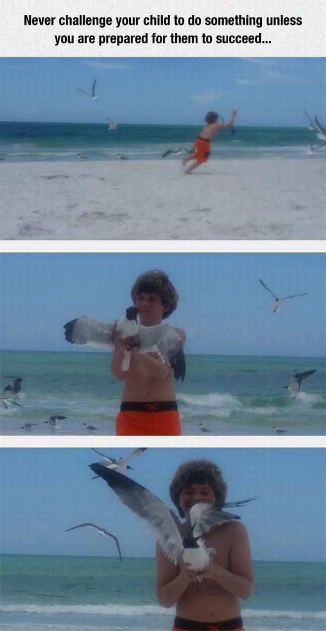 Daily Picdump