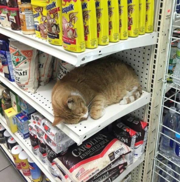 Morning Picdump