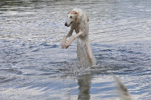 morning picdump 53 pics 27.html - 53 HD Photos | Premium Gallery 2017