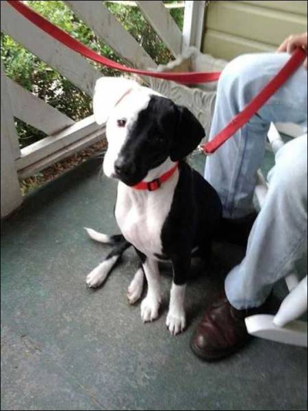 daily picdump 99 pics 35.html - 99 HD Photos | Premium Gallery 2017