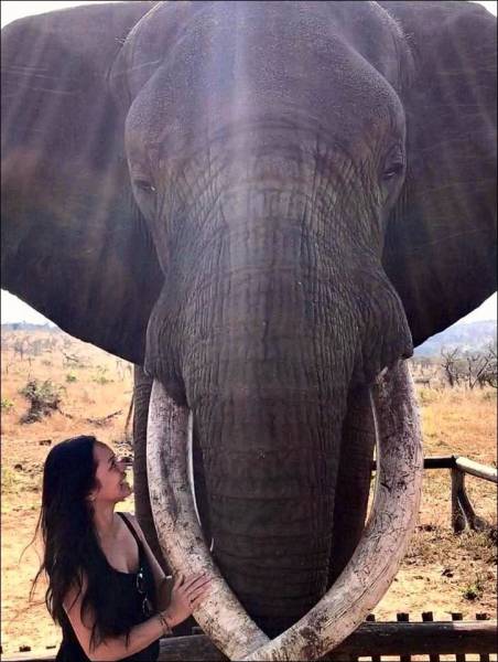 daily picdump 99 pics 35.html - 99 HD Photos | Premium Gallery 2017