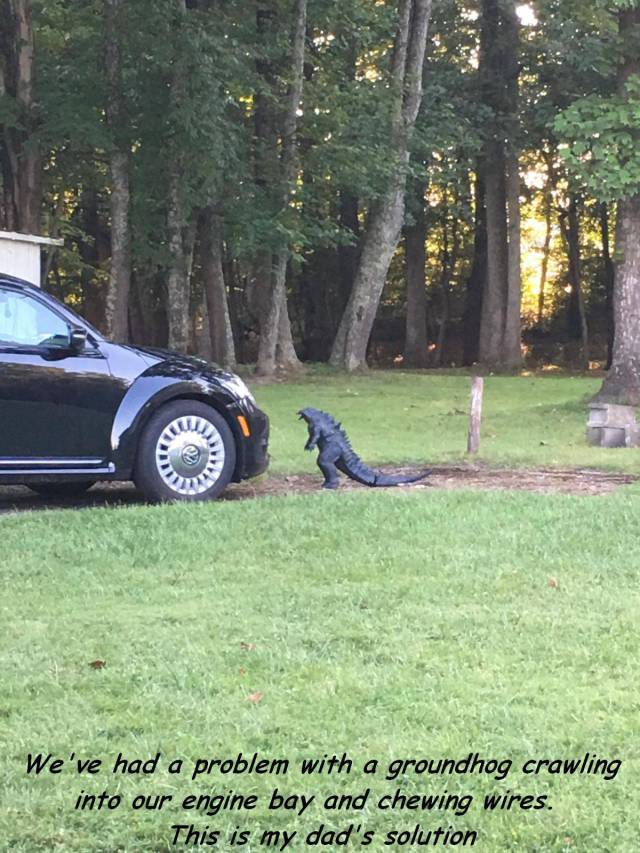 daily picdump 99 pics 35.html - 99 HD Photos | Premium Gallery 2017