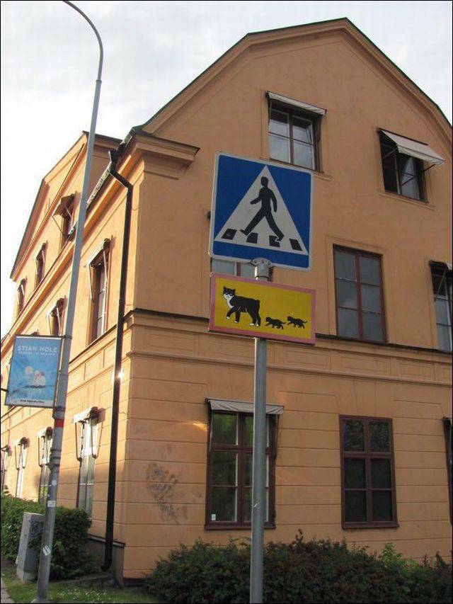 daily picdump 99 pics 35.html - 99 HD Photos | Premium Gallery 2017