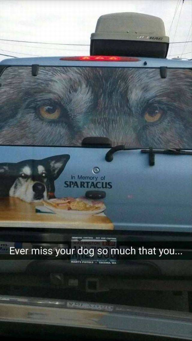 daily picdump 99 pics 35.html - 99 HD Photos | Premium Gallery 2017