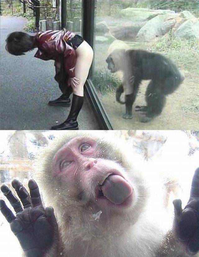 grownup corner 50 pics 11 gifs 4.html - 50 HD GIF | Premium Gallery 2017