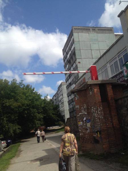 Morning Picdump