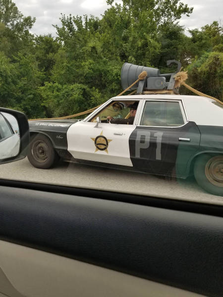 Morning Picdump