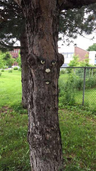 morning picdump 50 pics 25.html - 50 HD Photos | Premium Gallery 2017