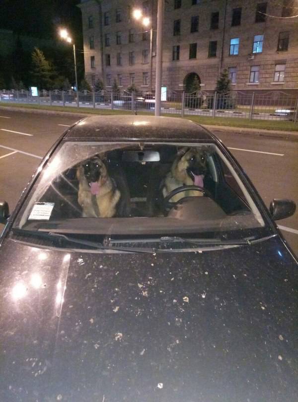 Morning Picdump