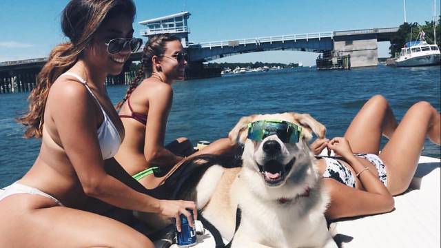 Daily Picdump