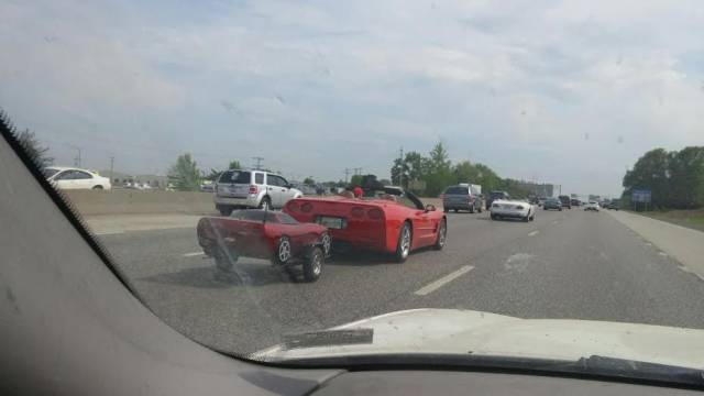 daily picdump 95 pics 38.html - 95 HD Photos | Premium Gallery 2017