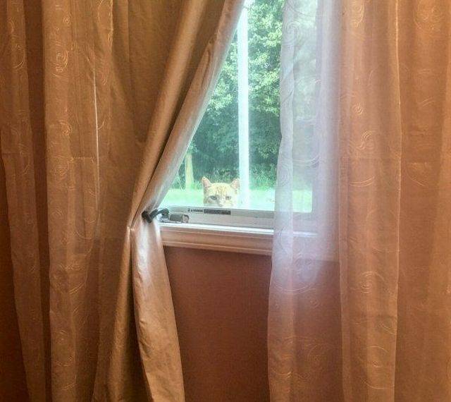 daily picdump 95 pics 38.html - 95 HD Photos | Premium Gallery 2017