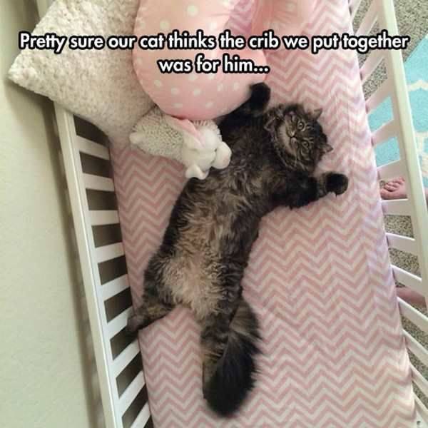 daily picdump 95 pics 38.html - 95 HD Photos | Premium Gallery 2017