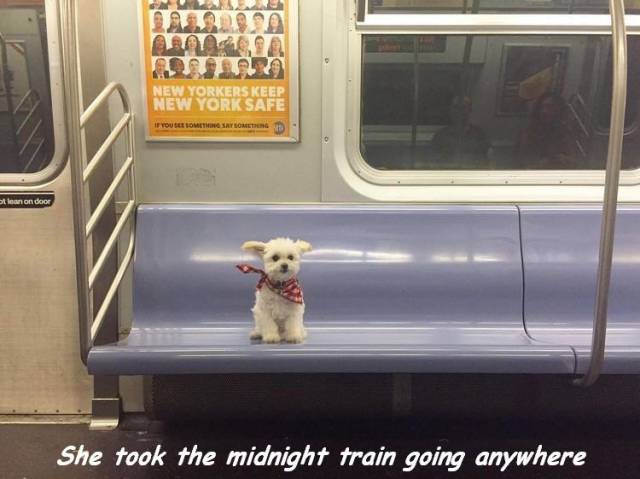 daily picdump 95 pics 38.html - 95 HD Photos | Premium Gallery 2017