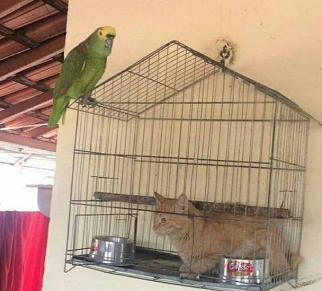 daily picdump 95 pics 38.html - 95 HD Photos | Premium Gallery 2017