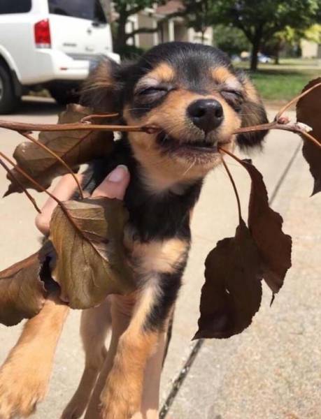 daily picdump 95 pics 38.html - 95 HD Photos | Premium Gallery 2017