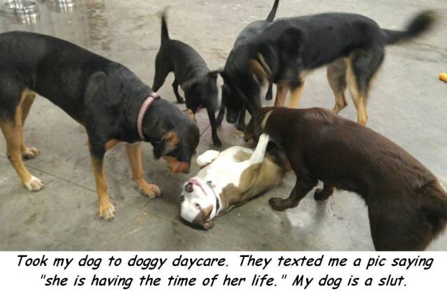 daily picdump 95 pics 38.html - 95 HD Photos | Premium Gallery 2017