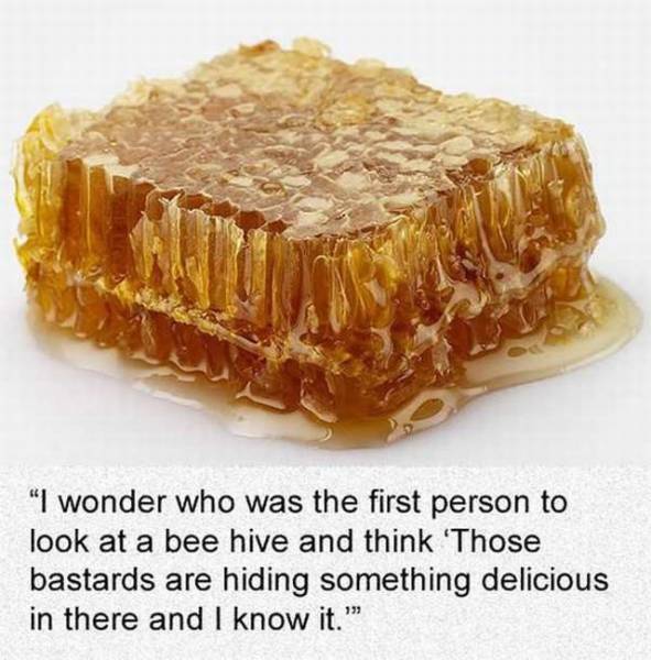 daily picdump 95 pics 38.html - 95 HD Photos | Premium Gallery 2017