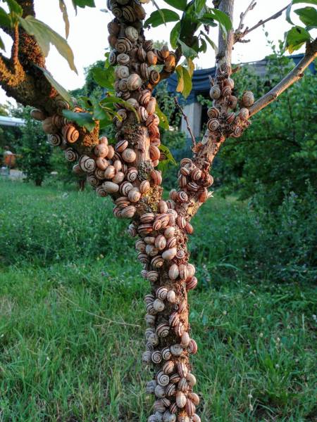 daily picdump 95 pics 38.html - 95 HD Photos | Premium Gallery 2017