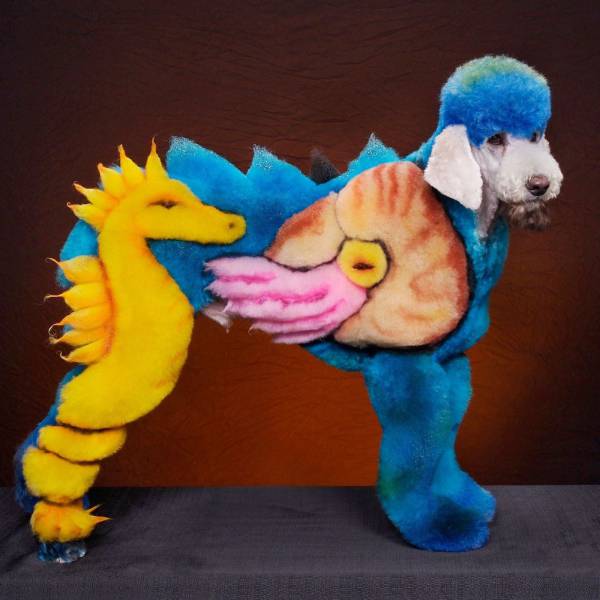 daily picdump 95 pics 38.html - 95 HD Photos | Premium Gallery 2017