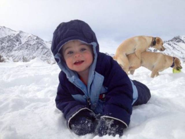 daily picdump 95 pics 38.html - 95 HD Photos | Premium Gallery 2017