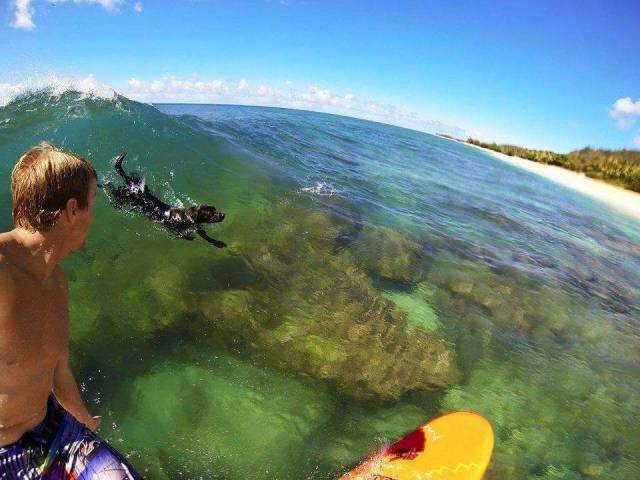 daily picdump 95 pics 38.html - 95 HD Photos | Premium Gallery 2017