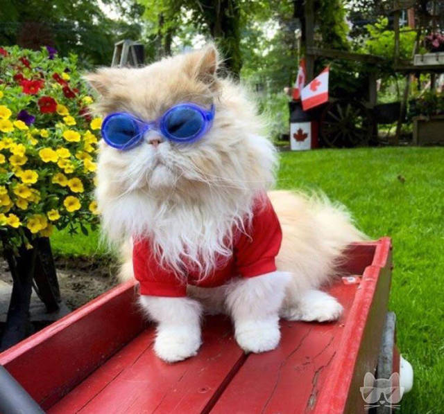 Morning Picdump