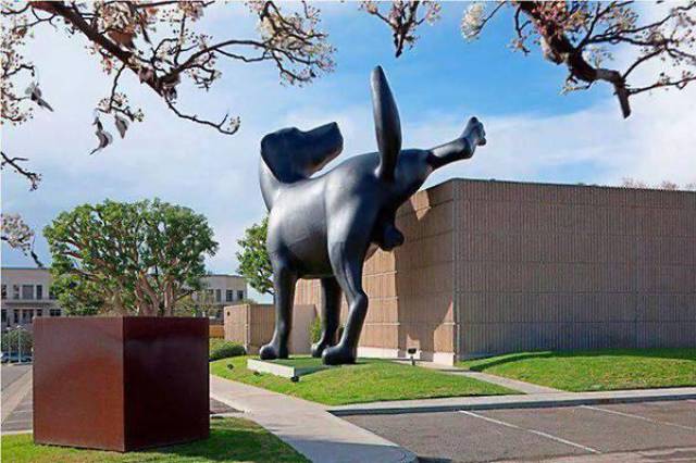 morning picdump 49 pics 12.html - 49 HD Photos | Premium Gallery 2017